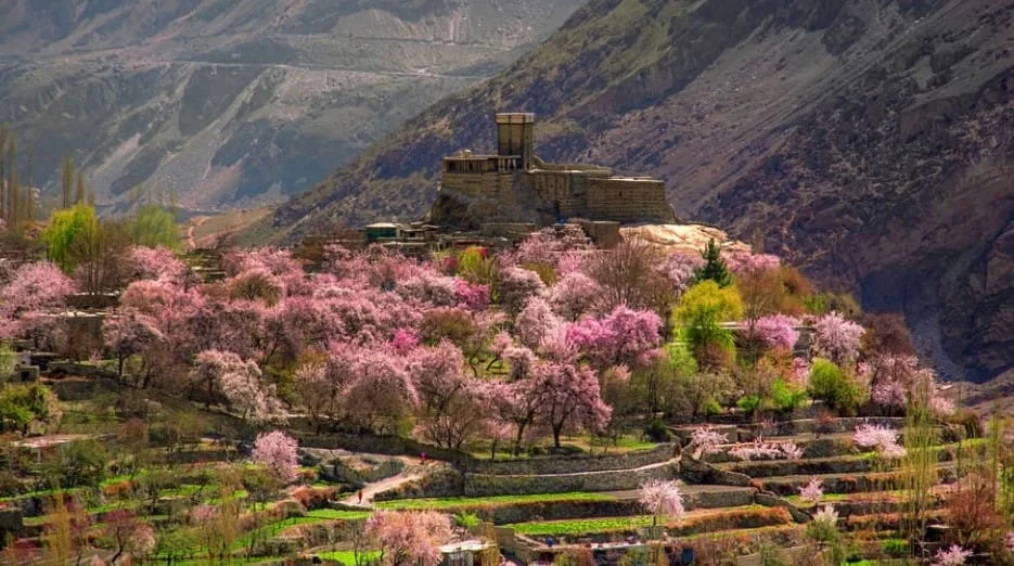 hunza blossom tour spring blossom tour hunza