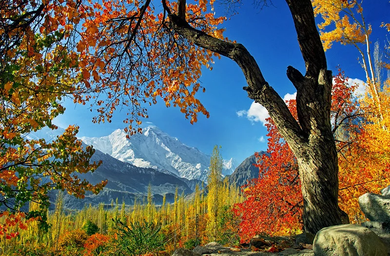 autumn season in hunza